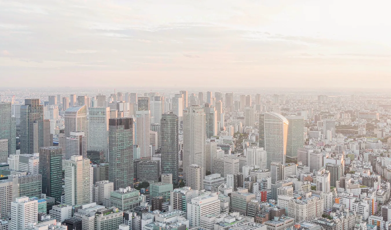 Aerial landscape in muted gold tones, used as an illustrative visual
